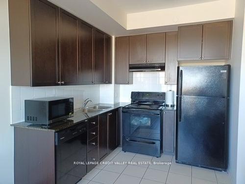 211-50 Sky Harbour Dr, Brampton, ON - Indoor Photo Showing Kitchen