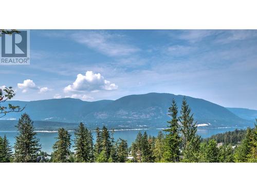 4731 20 Street Ne, Salmon Arm, BC - Outdoor