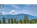 4731 20 Street Ne, Salmon Arm, BC  - Outdoor With View 