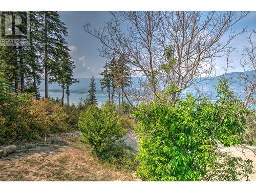 4731 20 Street Ne, Salmon Arm, BC - Outdoor With View