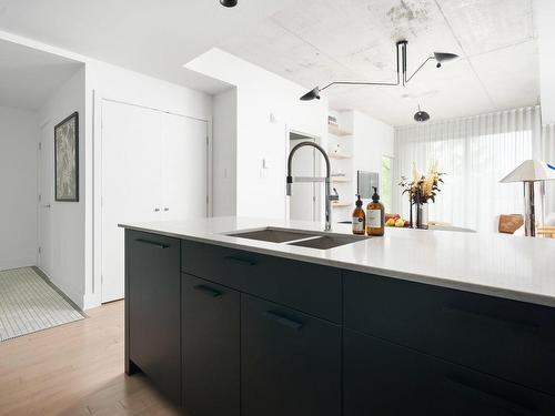 Kitchen - 415Z-1450 Rue Island, Montréal (Le Sud-Ouest), QC - Indoor Photo Showing Kitchen With Double Sink