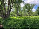 Land/Lot - Rue De La Maison-De-Pierre, L'Ascension, QC 