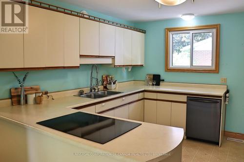 244 Alma Street, St. Thomas, ON - Indoor Photo Showing Kitchen With Double Sink