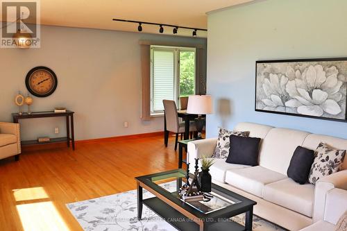 244 Alma Street, St. Thomas, ON - Indoor Photo Showing Living Room