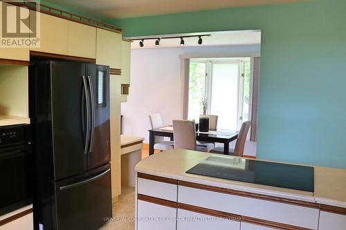 244 Alma Street, St. Thomas, ON - Indoor Photo Showing Kitchen