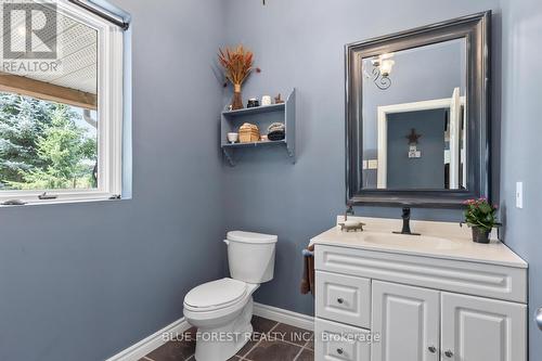 21948 Adelaide Street, Middlesex Centre (Arva), ON - Indoor Photo Showing Bathroom