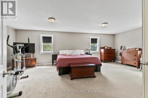 21948 Adelaide Street, Middlesex Centre (Arva), ON - Indoor Photo Showing Bedroom