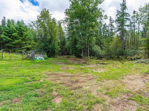 377 Cloverdale Road, Birch Hill, NS 