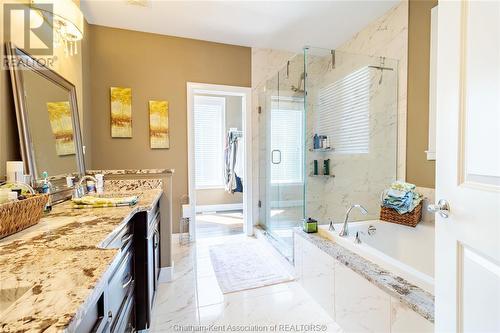 1199 Regency Crescent, Lakeshore, ON - Indoor Photo Showing Bathroom