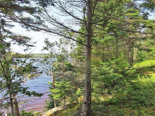 83.9 Acres Grand Mira South Road, Grand Mira South, NS 