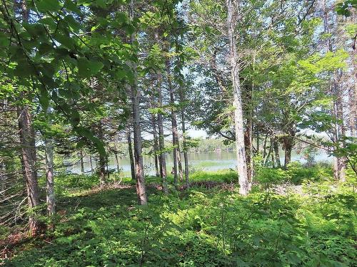 83.9 Acres Grand Mira South Road, Grand Mira South, NS 