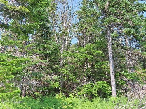 83.9 Acres Grand Mira South Road, Grand Mira South, NS 