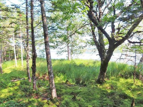 83.9 Acres Grand Mira South Road, Grand Mira South, NS 