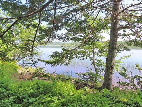 83.9 Acres Grand Mira South Road, Grand Mira South, NS 