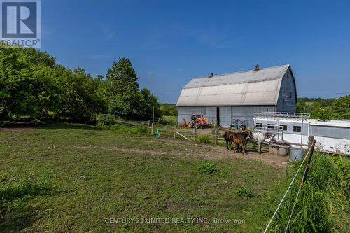 60 Collins Road, Trent Hills (Hastings), ON - Outdoor