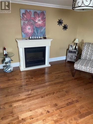 74 Harbour Drive, Fogo Island, NL - Indoor Photo Showing Living Room With Fireplace