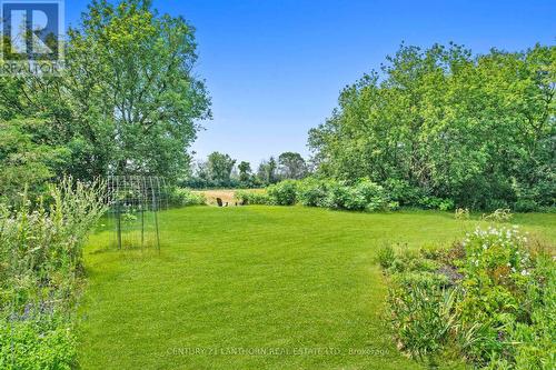 1614 County 1 Road, Greater Napanee, ON - Outdoor