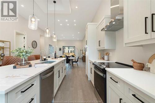 592 Lily Mac Boulevard, Windsor, ON - Indoor Photo Showing Kitchen With Upgraded Kitchen