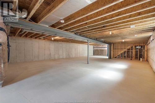 592 Lily Mac Boulevard, Windsor, ON - Indoor Photo Showing Basement