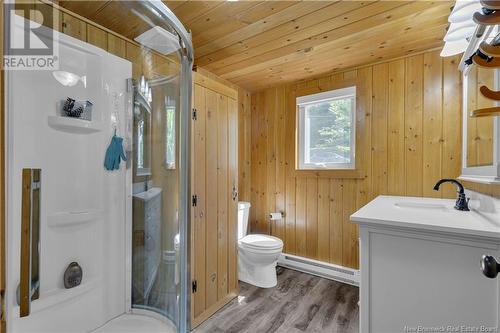 22 Sparkes Lane, Cambridge-Narrows, NB - Indoor Photo Showing Bathroom