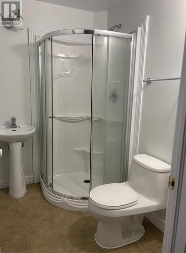 16 Tully Place, Gander, NL - Indoor Photo Showing Bathroom