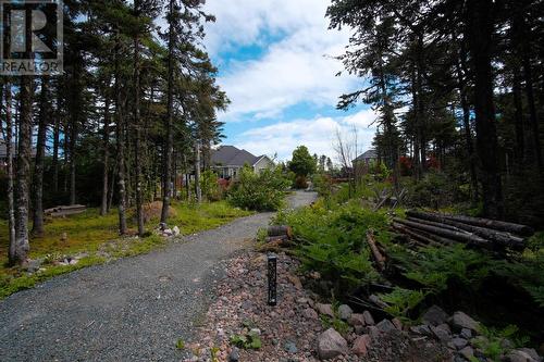 16 Edgewater Lane, Torbay, NL - Outdoor With View