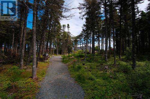 16 Edgewater Lane, Torbay, NL - Outdoor With View