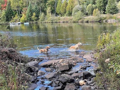 Waterfront - Ch. Lisbourg, Wentworth-Nord, QC 