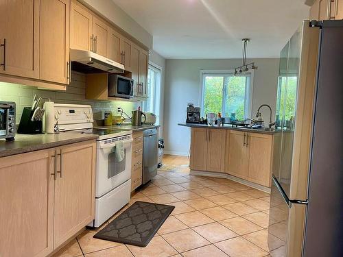 Cuisine - 1008 Rue Emma-Lajeunesse, Boucherville, QC - Indoor Photo Showing Kitchen