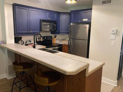 Cuisine - 3-195 Rue Du Mont-Plaisant, Mont-Tremblant, QC - Indoor Photo Showing Kitchen With Double Sink