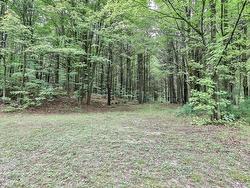 Wooded area - 