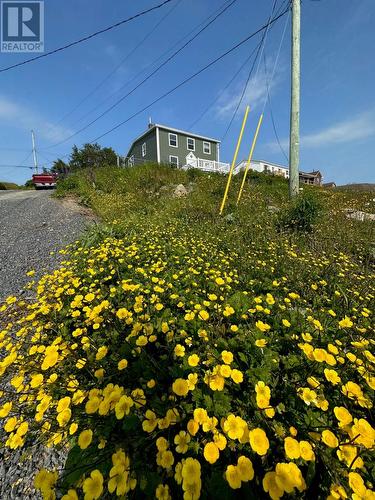 13 Main Road, Champney'S East, NL - Outdoor