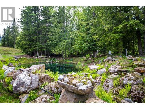 2180 Clough Road, Revelstoke, BC - Outdoor