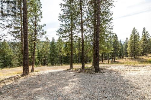 6674 Wardner-Kikomun Road Unit# 10, Wardner, BC - Outdoor With View