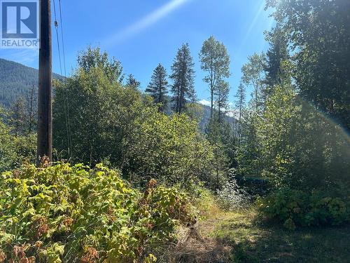 Lot 14 Poplar Ridge Road, South Slocan, BC 