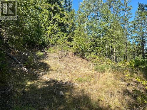 Lot 14 Poplar Ridge Road, South Slocan, BC 