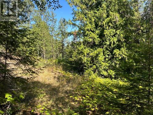 Lot 14 Poplar Ridge Road, South Slocan, BC 