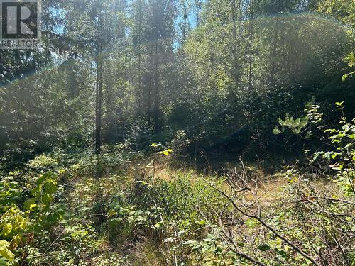 Lot 14 Poplar Ridge Road, South Slocan, BC 