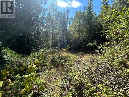 Lot 14 Poplar Ridge Road, South Slocan, BC 