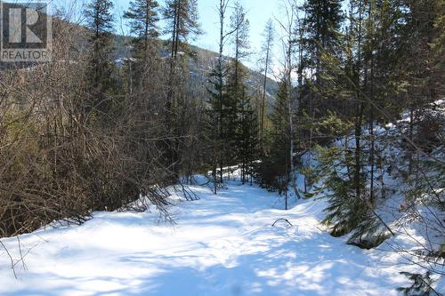 Lot 14 Poplar Ridge Road, South Slocan, BC 