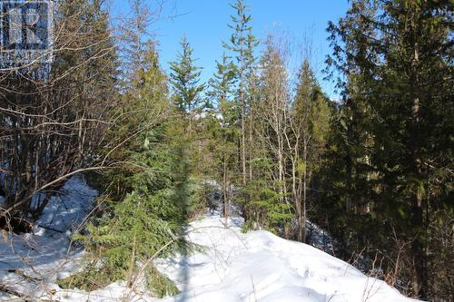 Lot 14 Poplar Ridge Road, South Slocan, BC 