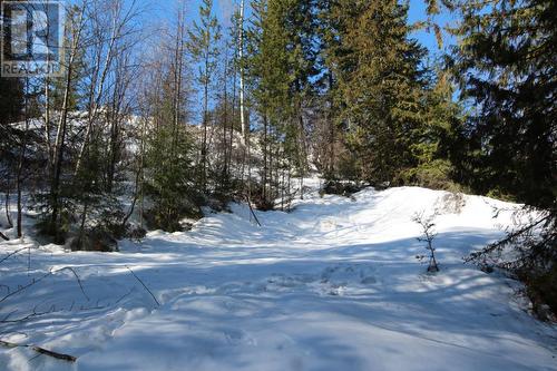 Lot 14 Poplar Ridge Road, South Slocan, BC 