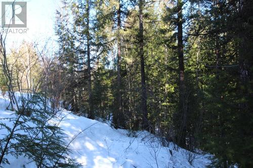 Lot 14 Poplar Ridge Road, South Slocan, BC 