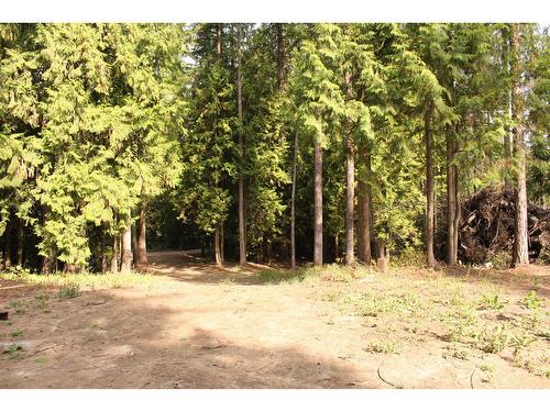 2640 Highway 3B, Rossland, BC 