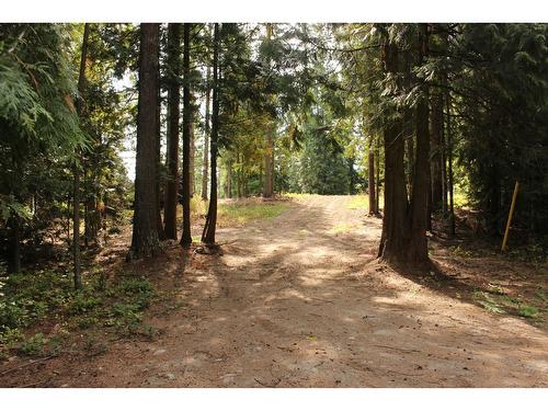 2640 Highway 3B, Rossland, BC 