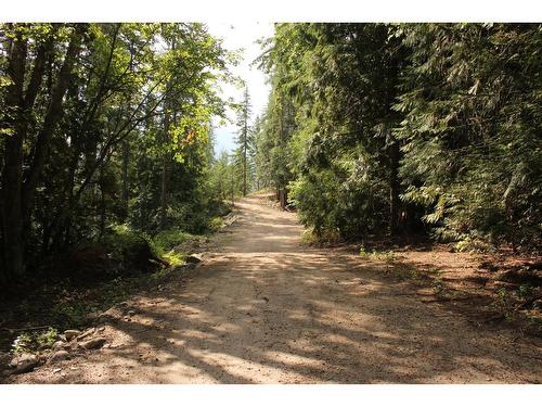 2640 Highway 3B, Rossland, BC 