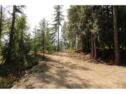 2640 Highway 3B, Rossland, BC 