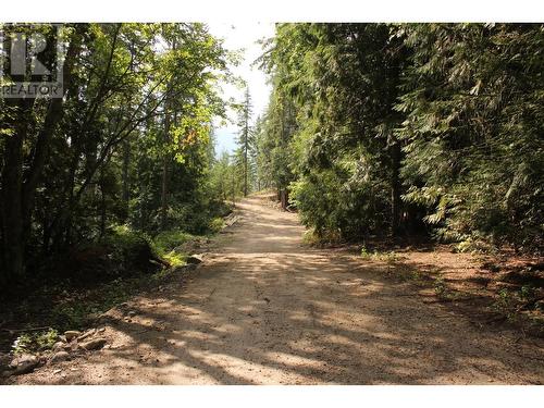 2640 3B Highway, Rossland, BC 