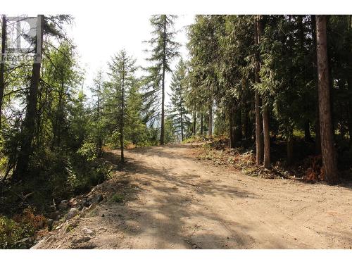 2640 3B Highway, Rossland, BC 