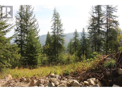 2640 3B Highway, Rossland, BC 